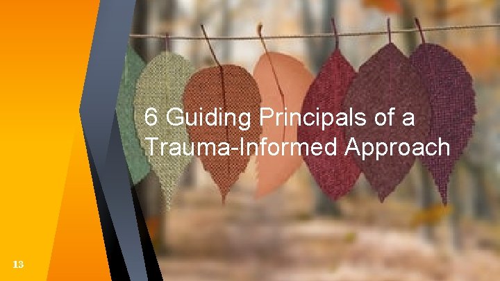 6 Guiding Principals of a Trauma-Informed Approach 13 6 Guiding Principals of a Trauma-Informed Approach 13