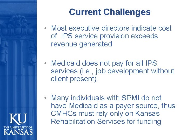 Current Challenges • Most executive directors indicate cost of IPS service provision exceeds revenue