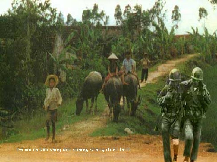 Để em ra bến vắng đón chàng, chàng chiến binh 