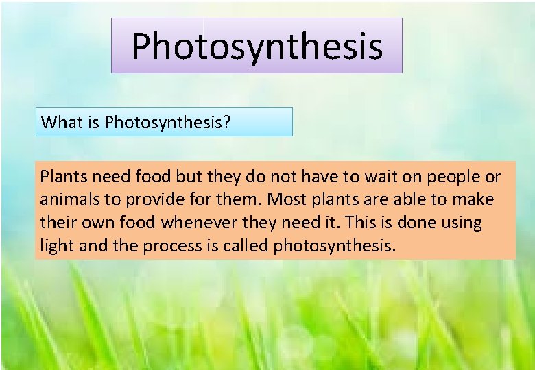 Photosynthesis What is Photosynthesis? Plants need food but they do not have to wait