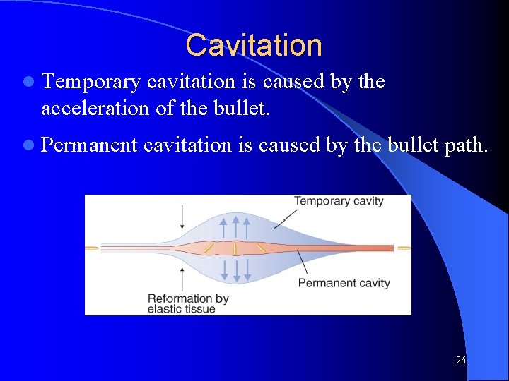Cavitation l Temporary cavitation is caused by the acceleration of the bullet. l Permanent Cavitation l Temporary cavitation is caused by the acceleration of the bullet. l Permanent