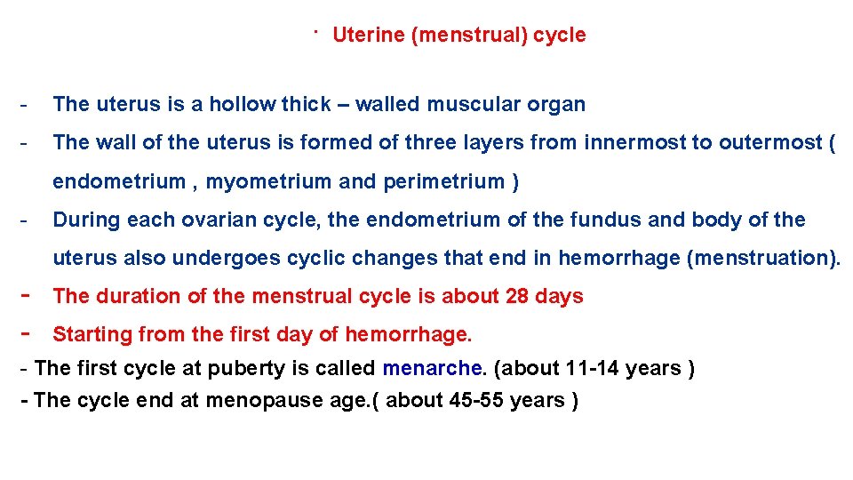 ∙ Uterine (menstrual) cycle - The uterus is a hollow thick – walled muscular