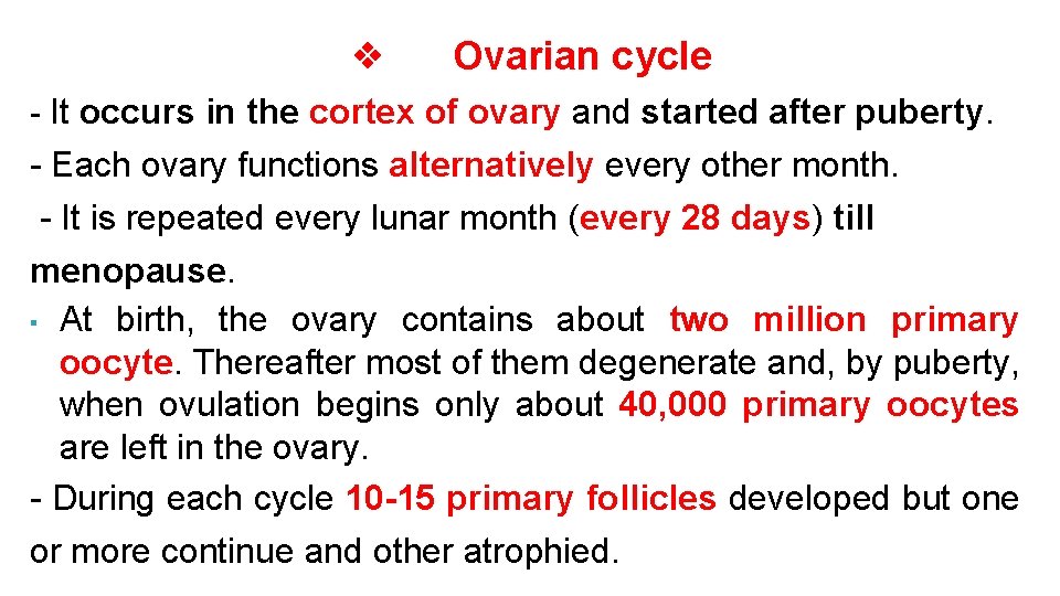 ❖ Ovarian cycle - It occurs in the cortex of ovary and started after