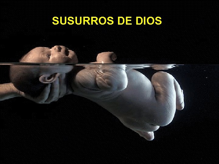 SUSURROS DE DIOS 