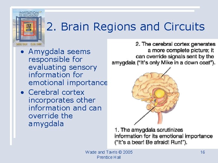 2. Brain Regions and Circuits • Amygdala seems responsible for evaluating sensory information for