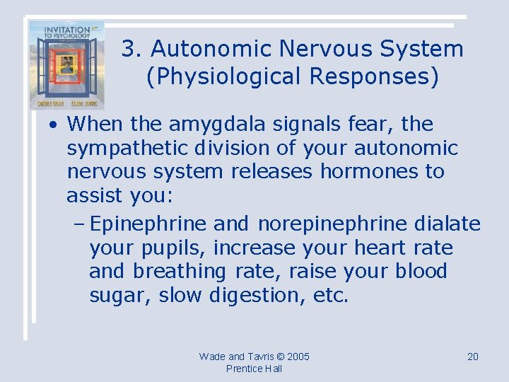 3. Autonomic Nervous System (Physiological Responses) • When the amygdala signals fear, the sympathetic