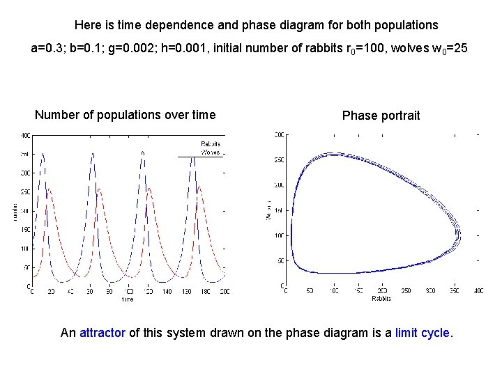 Here is time dependence and phase diagram for both populations a=0. 3; b=0. 1;