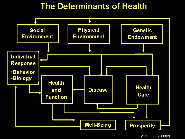 The Determinants of Health Social Environment Physical Environment Genetic Endowment Individual Response • Behavior