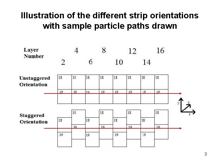 Illustration of the different strip orientations with sample particle paths drawn 3 
