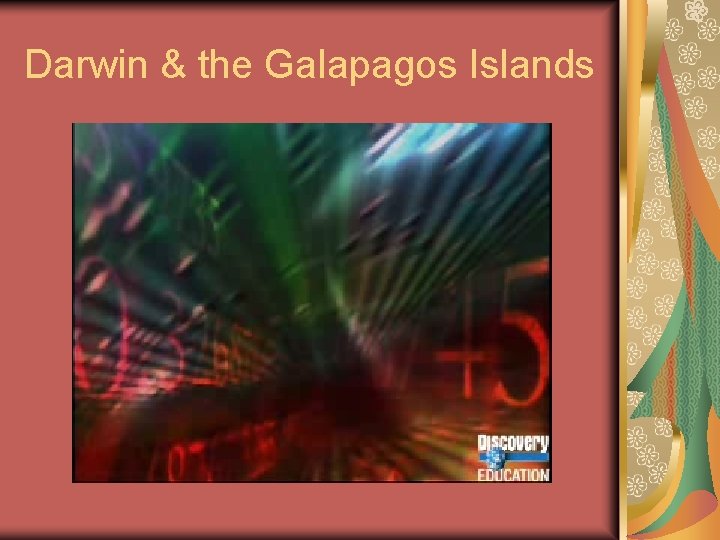 Darwin & the Galapagos Islands 