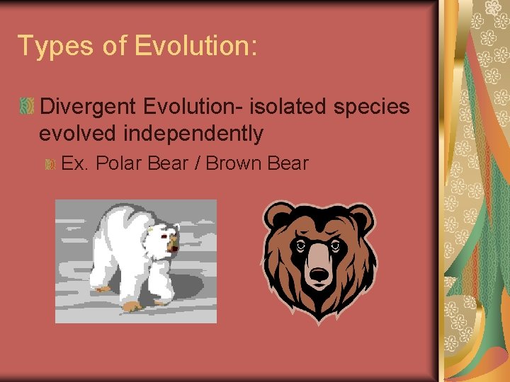 Types of Evolution: Divergent Evolution- isolated species evolved independently Ex. Polar Bear / Brown