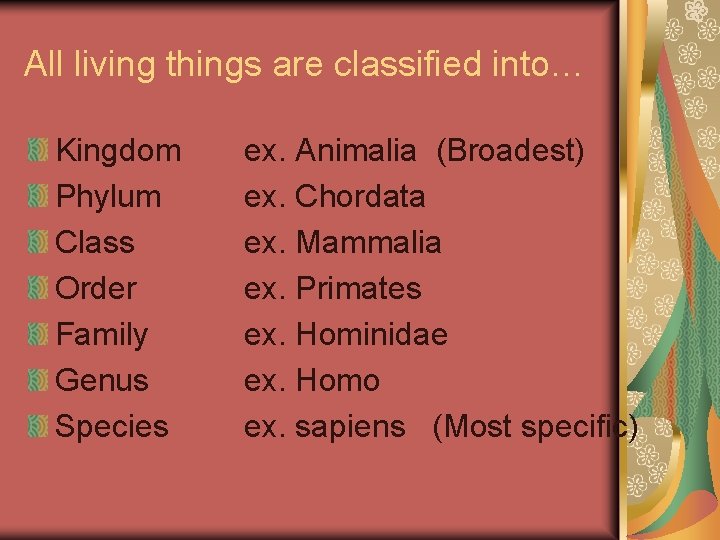 All living things are classified into… Kingdom Phylum Class Order Family Genus Species ex.