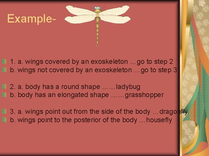 Example- 1. a. wings covered by an exoskeleton …go to step 2 b. wings