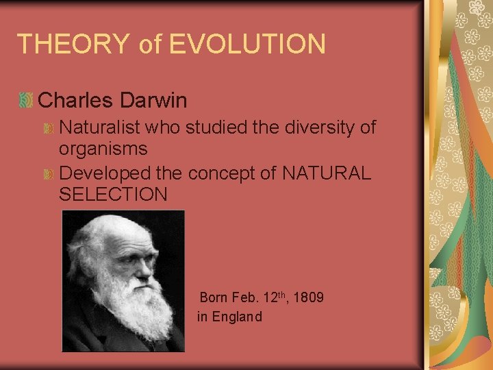 THEORY of EVOLUTION Charles Darwin Naturalist who studied the diversity of organisms Developed the