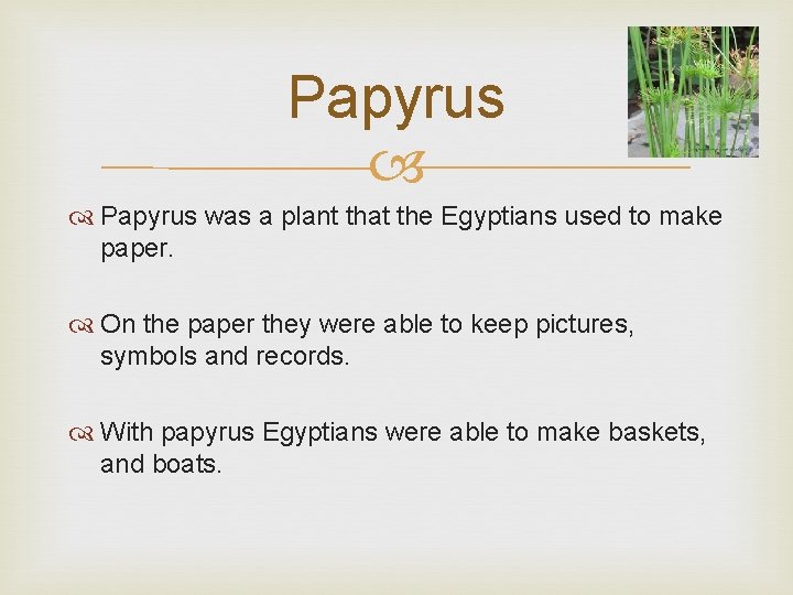 Papyrus was a plant that the Egyptians used to make paper. On the paper