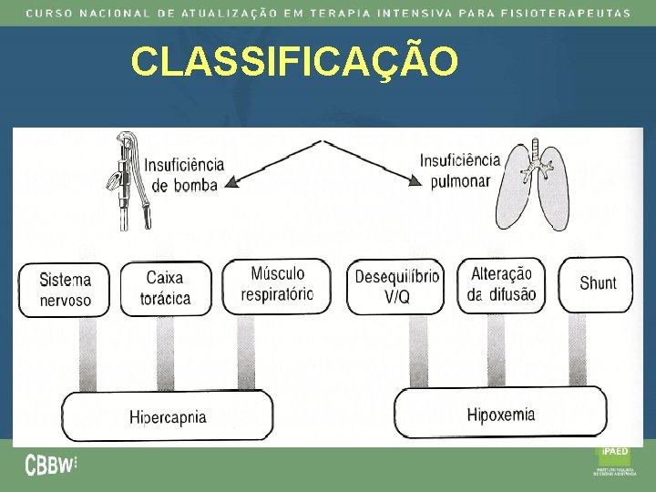 CLASSIFICAÇÃO 