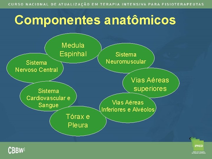 Componentes anatômicos Medula Espinhal Sistema Nervoso Central Sistema Cardiovascular e Sangue Tórax e Pleura