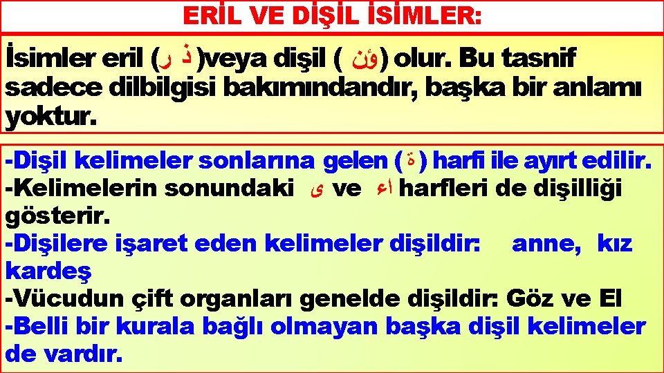 ERİL VE DİŞİL İSİMLER: İsimler eril ( ) ﺫ ﺭ veya dişil ( )