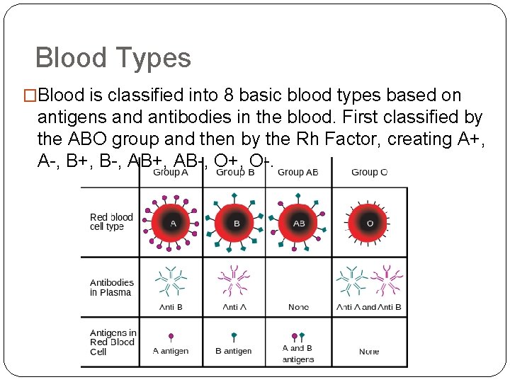 Blood Types �Blood is classified into 8 basic blood types based on antigens and