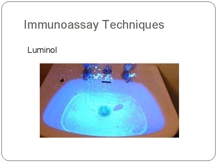 Immunoassay Techniques Luminol 