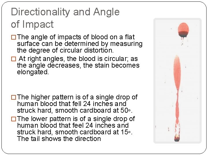 Directionality and Angle of Impact � The angle of impacts of blood on a
