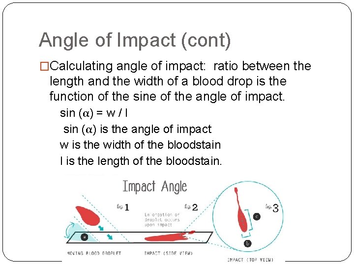 Angle of Impact (cont) �Calculating angle of impact: ratio between the length and the