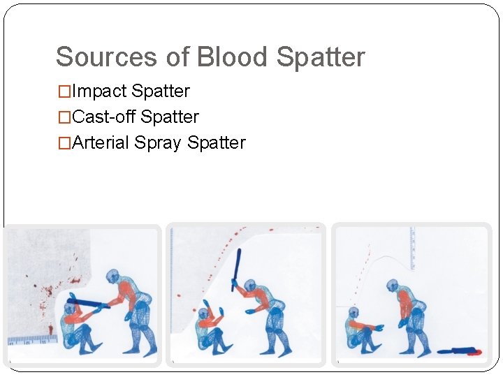 Sources of Blood Spatter �Impact Spatter �Cast-off Spatter �Arterial Spray Spatter 