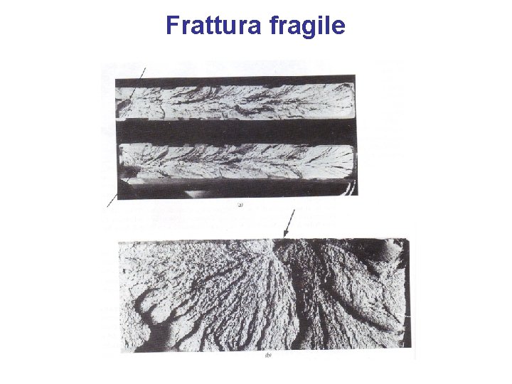Frattura fragile 
