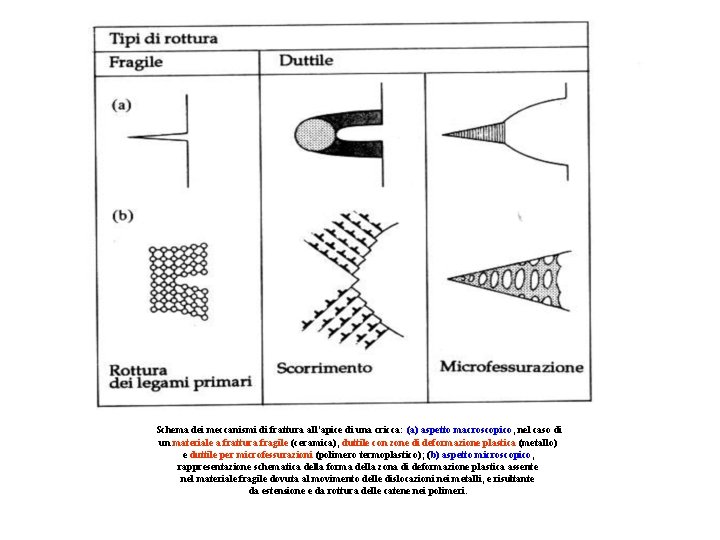Schema dei meccanismi di frattura all’apice di una cricca: (a) aspetto macroscopico, nel caso