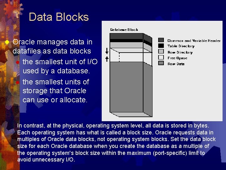 Data Blocks ® Oracle manages data in datafiles as data blocks ® the smallest