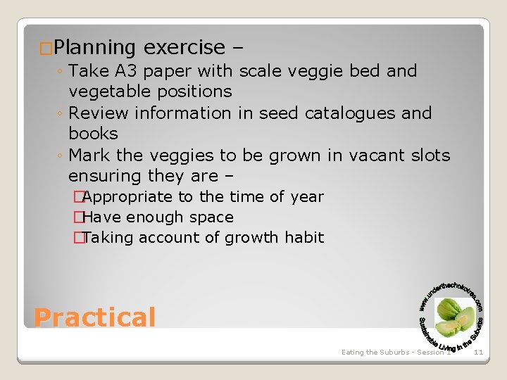 �Planning exercise – ◦ Take A 3 paper with scale veggie bed and vegetable