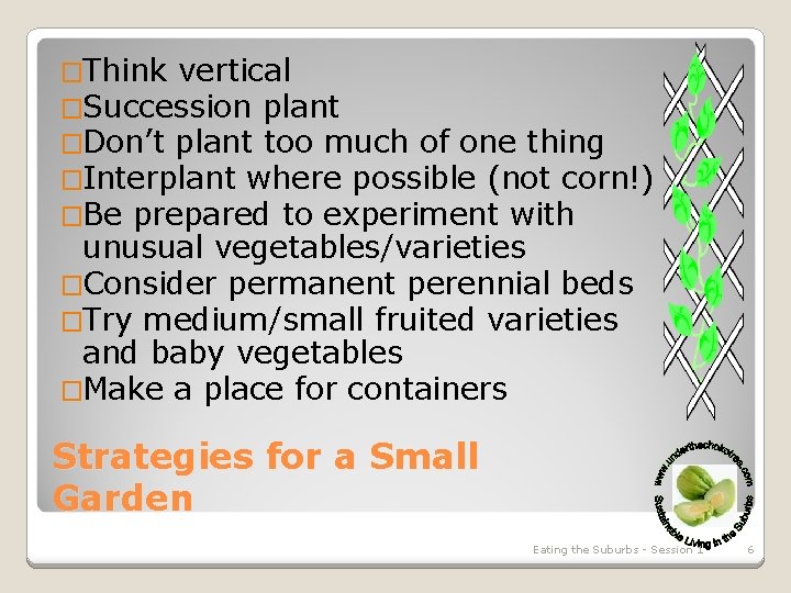 �Think vertical �Succession plant �Don’t plant too much of one thing �Interplant where possible