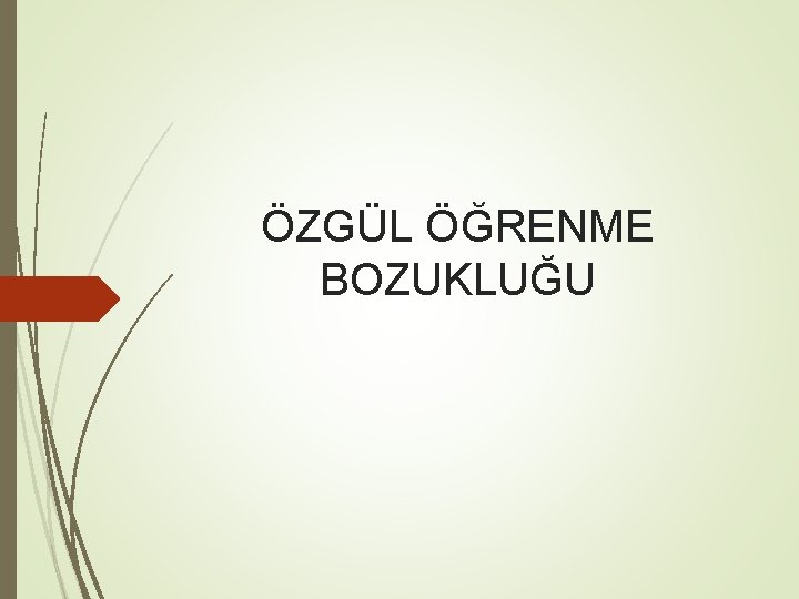 ÖZGÜL ÖĞRENME BOZUKLUĞU 