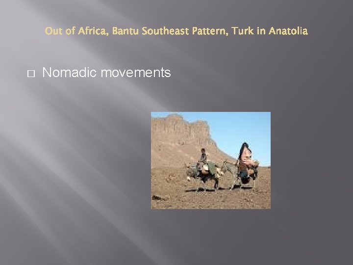 � Nomadic movements 