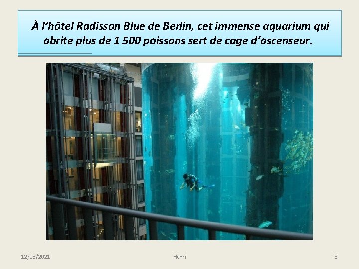 À l’hôtel Radisson Blue de Berlin, cet immense aquarium qui abrite plus de 1