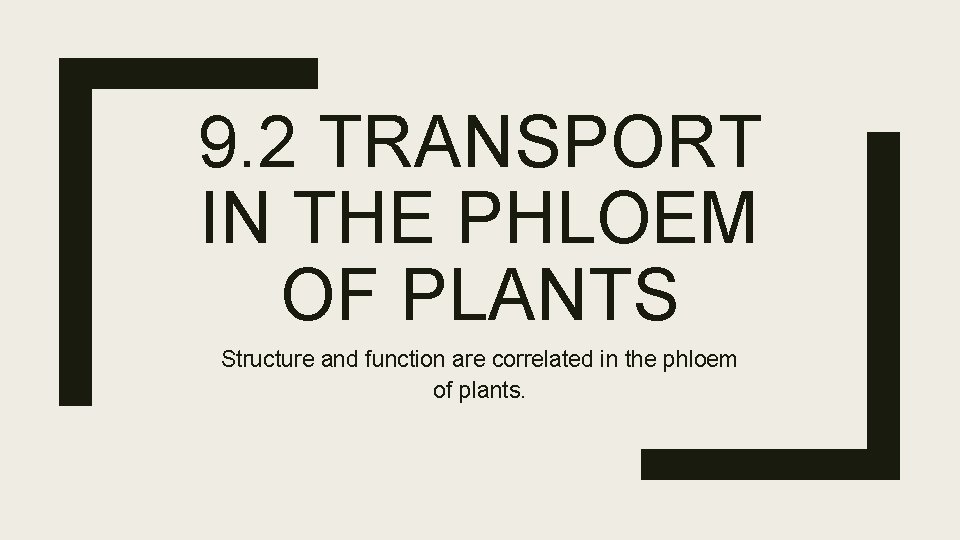 9. 2 TRANSPORT IN THE PHLOEM OF PLANTS Structure and function are correlated in