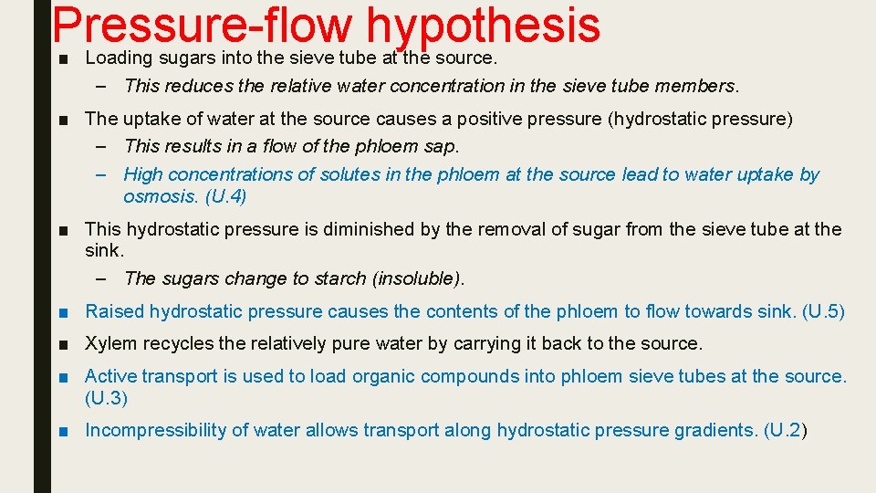 Pressure-flow hypothesis ■ Loading sugars into the sieve tube at the source. – This