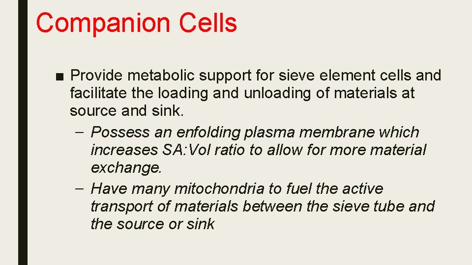 Companion Cells ■ Provide metabolic support for sieve element cells and facilitate the loading