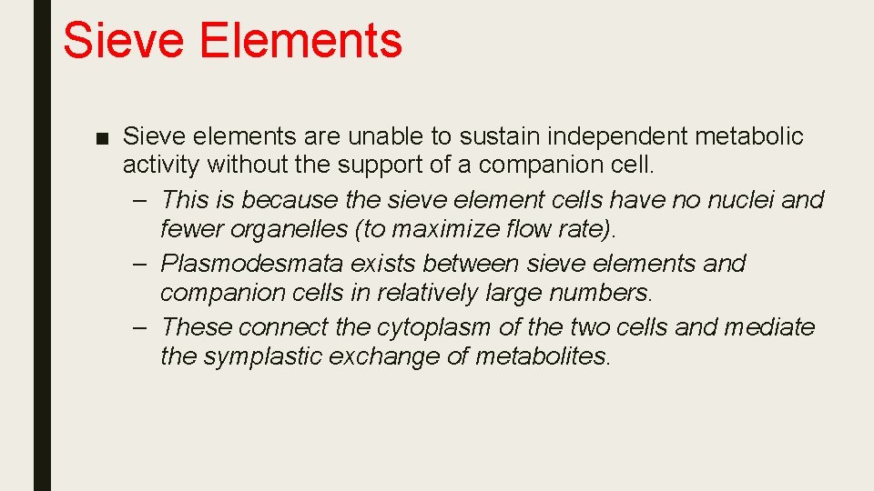 Sieve Elements ■ Sieve elements are unable to sustain independent metabolic activity without the