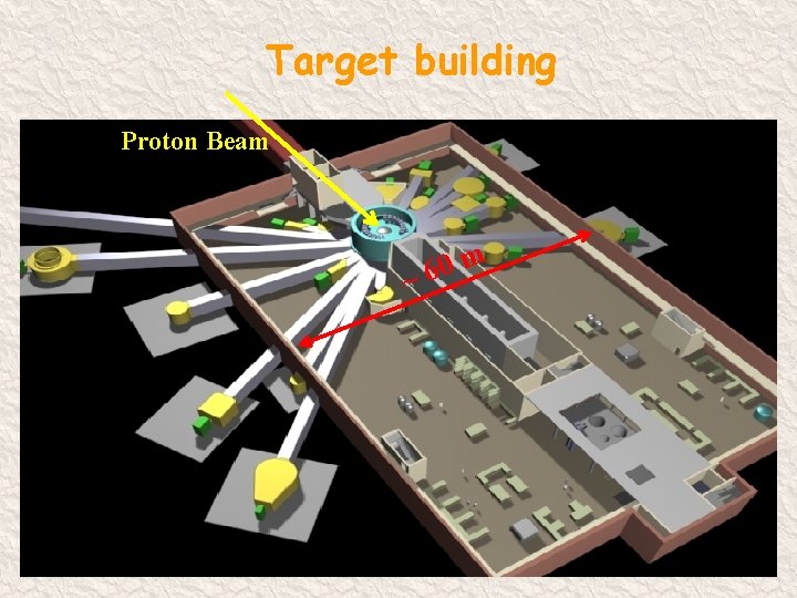 Target building Proton Beam m 0 6 ~ 4 