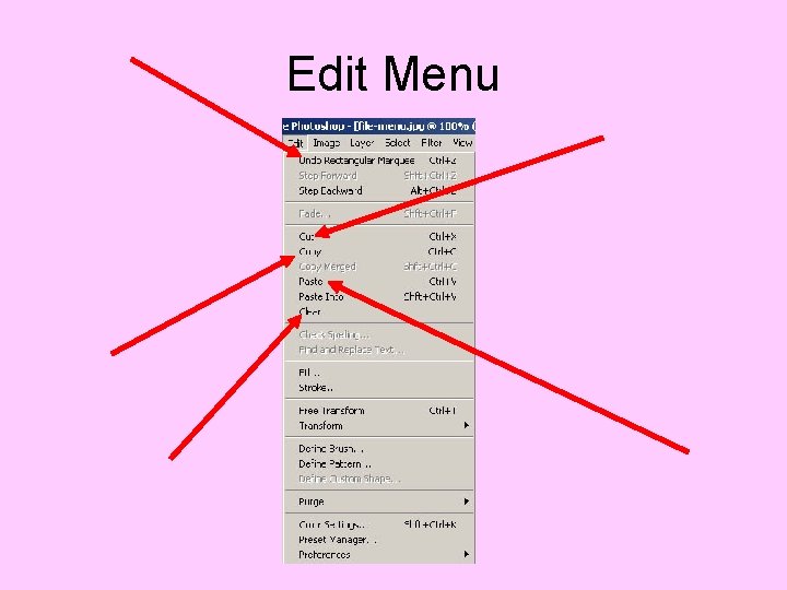 Edit Menu 