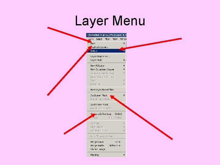 Layer Menu 