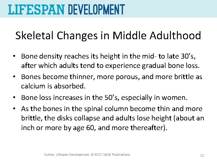 Skeletal Changes in Middle Adulthood • Bone density reaches its height in the mid-