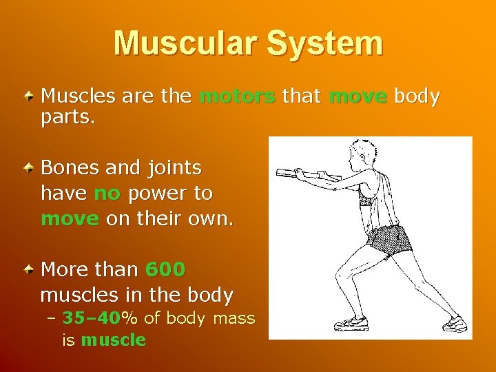 Muscular System Muscles are the motors that move body parts. Bones and joints have
