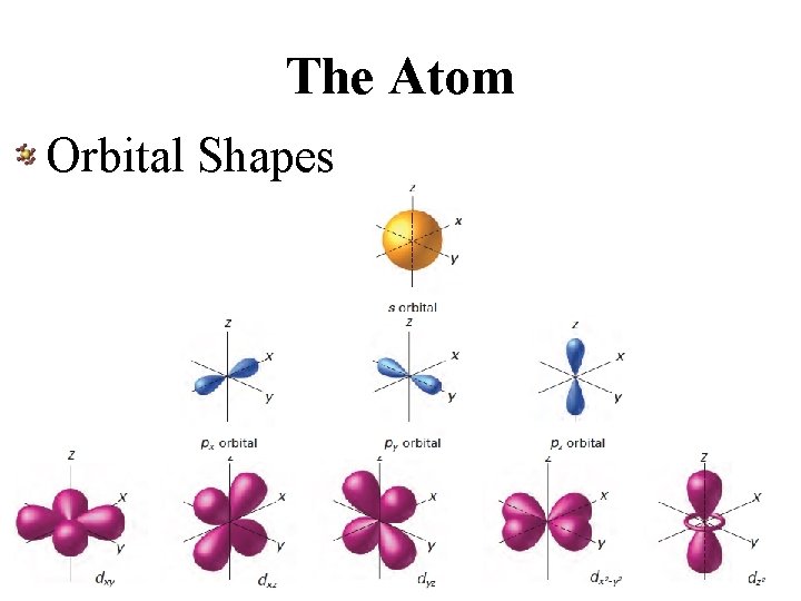 The Atom Orbital Shapes 