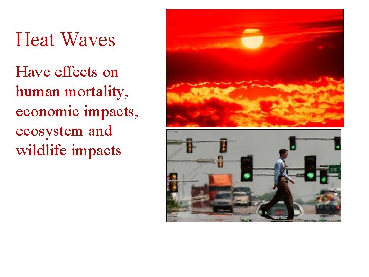 Heat Waves Have effects on human mortality, economic impacts, ecosystem and wildlife impacts 