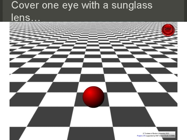 Cover one eye with a sunglass lens… 