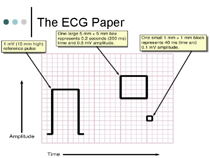 The ECG Paper 