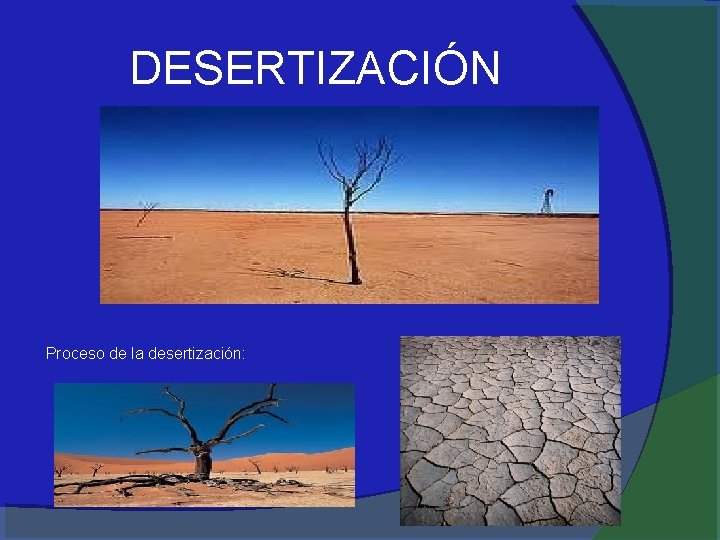 DESERTIZACIÓN Proceso de la desertización: 