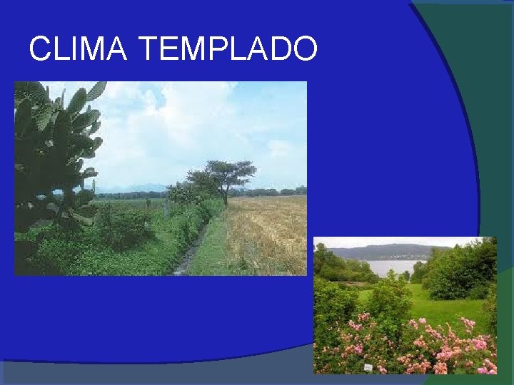 CLIMA TEMPLADO 